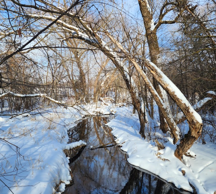 willow-creek-park-photo
